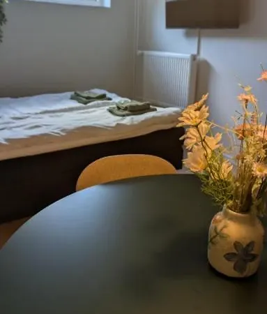 Stille Og Privat Vaerelse Med Egen Indgang Og Bad